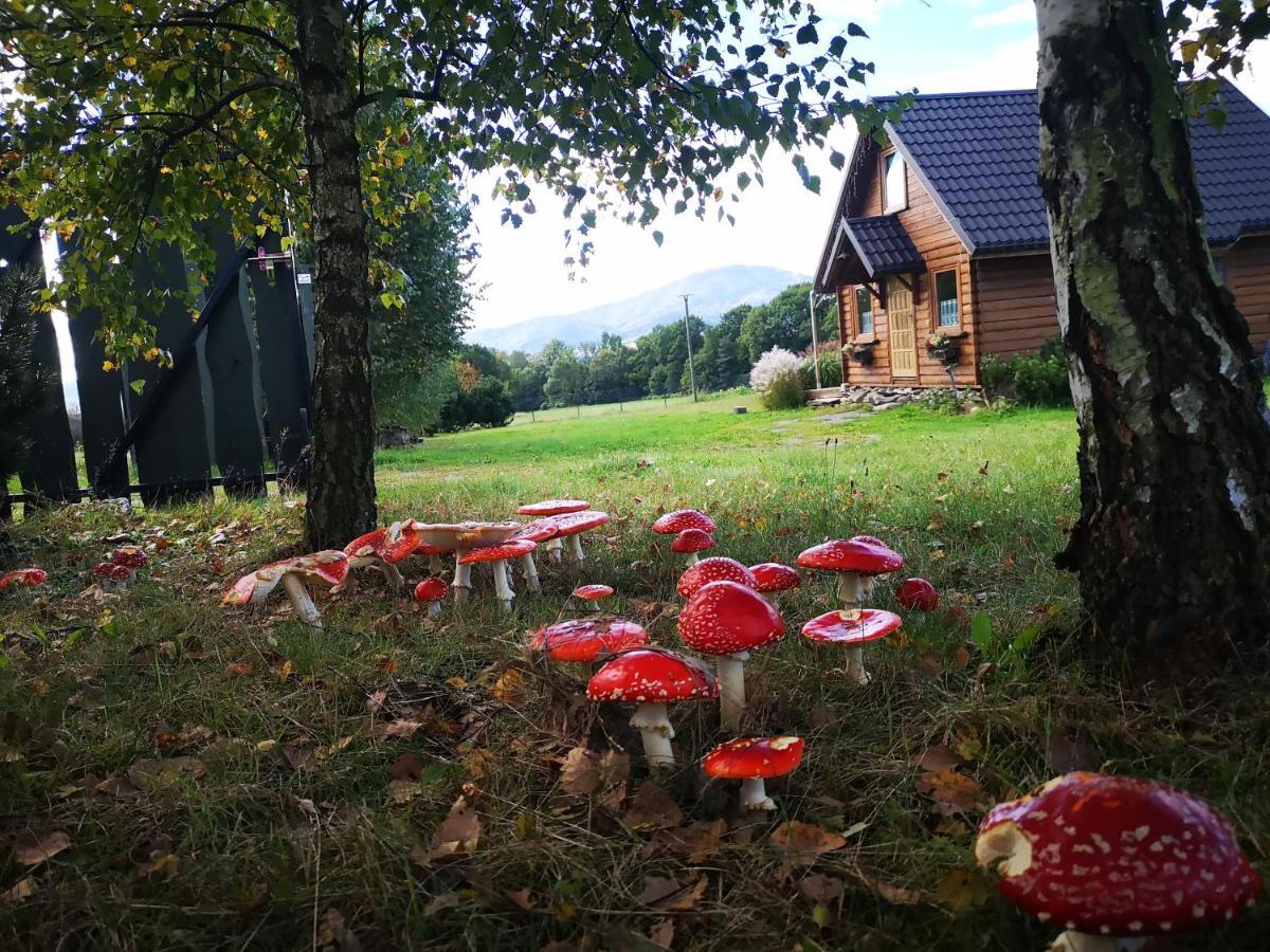 Vila Domek Na Kamiencu Wilkowice Exteriér fotografie